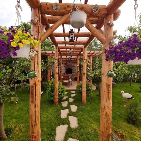 Casa Aryan Appartement Sînpetru Buitenkant foto