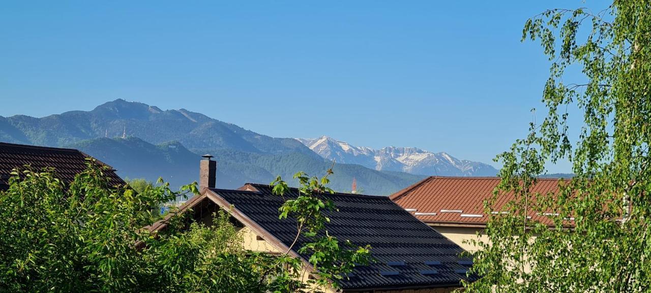 Casa Aryan Appartement Sînpetru Buitenkant foto