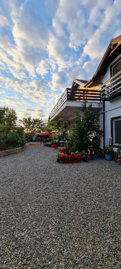 Casa Aryan Appartement Sînpetru Buitenkant foto