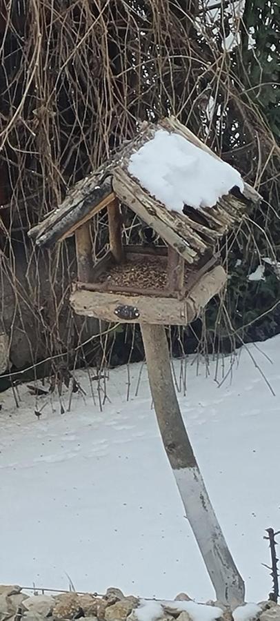 Casa Aryan Appartement Sînpetru Buitenkant foto