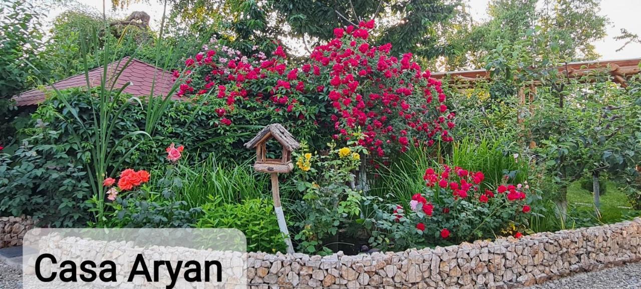 Casa Aryan Appartement Sînpetru Buitenkant foto