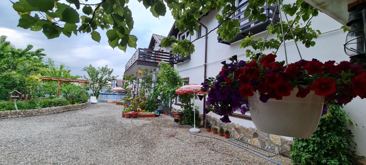 Casa Aryan Appartement Sînpetru Buitenkant foto