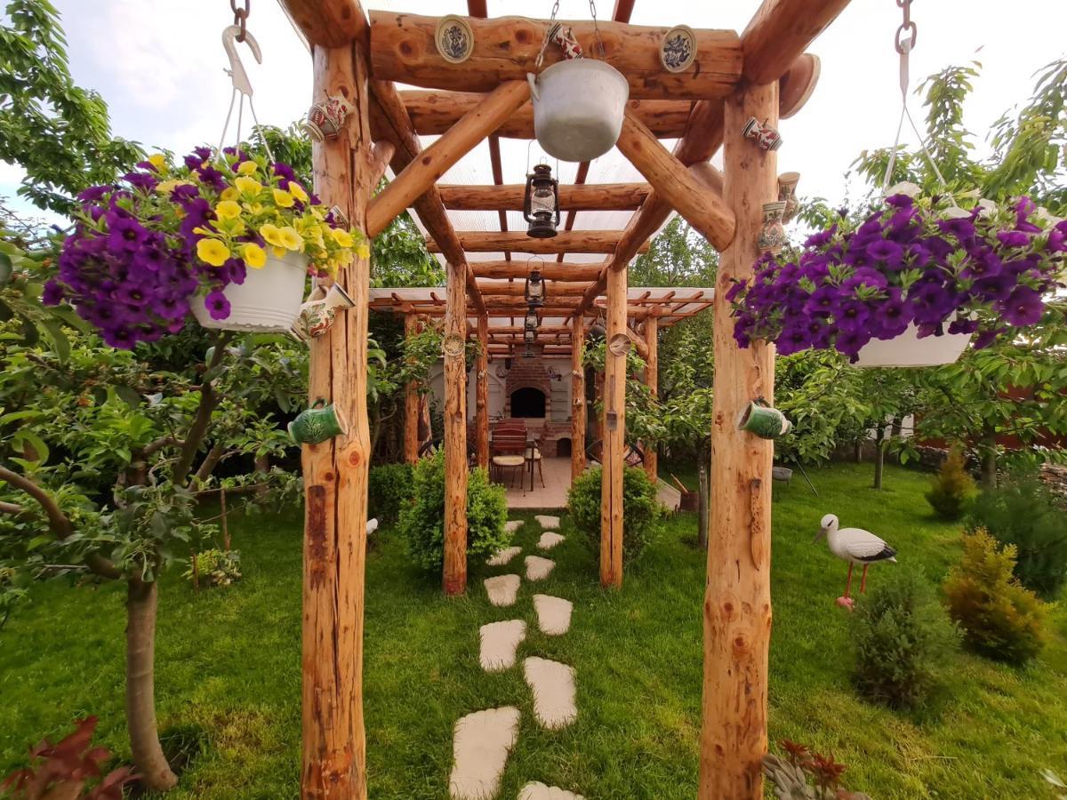 Casa Aryan Appartement Sînpetru Buitenkant foto