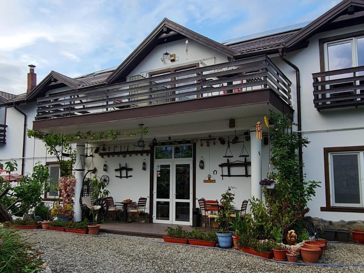 Casa Aryan Appartement Sînpetru Buitenkant foto