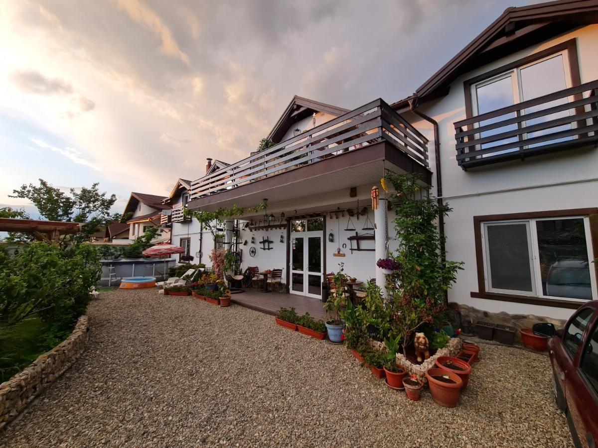 Casa Aryan Appartement Sînpetru Buitenkant foto