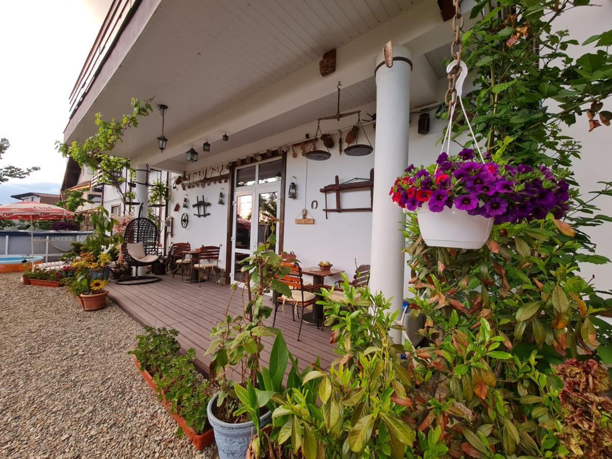 Casa Aryan Appartement Sînpetru Buitenkant foto