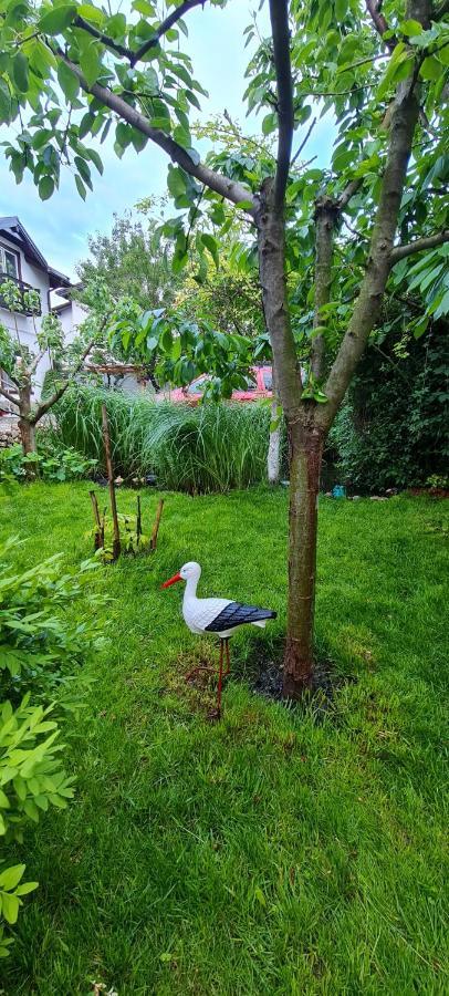 Casa Aryan Appartement Sînpetru Buitenkant foto