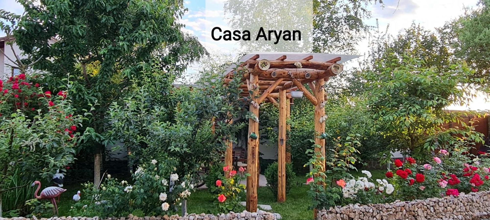 Casa Aryan Appartement Sînpetru Buitenkant foto